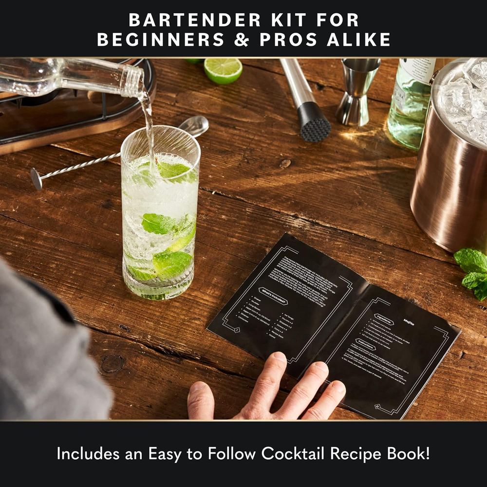 22-Piece Cocktail Shaker Set w - Cocktail Recipe Book のレビューと価格